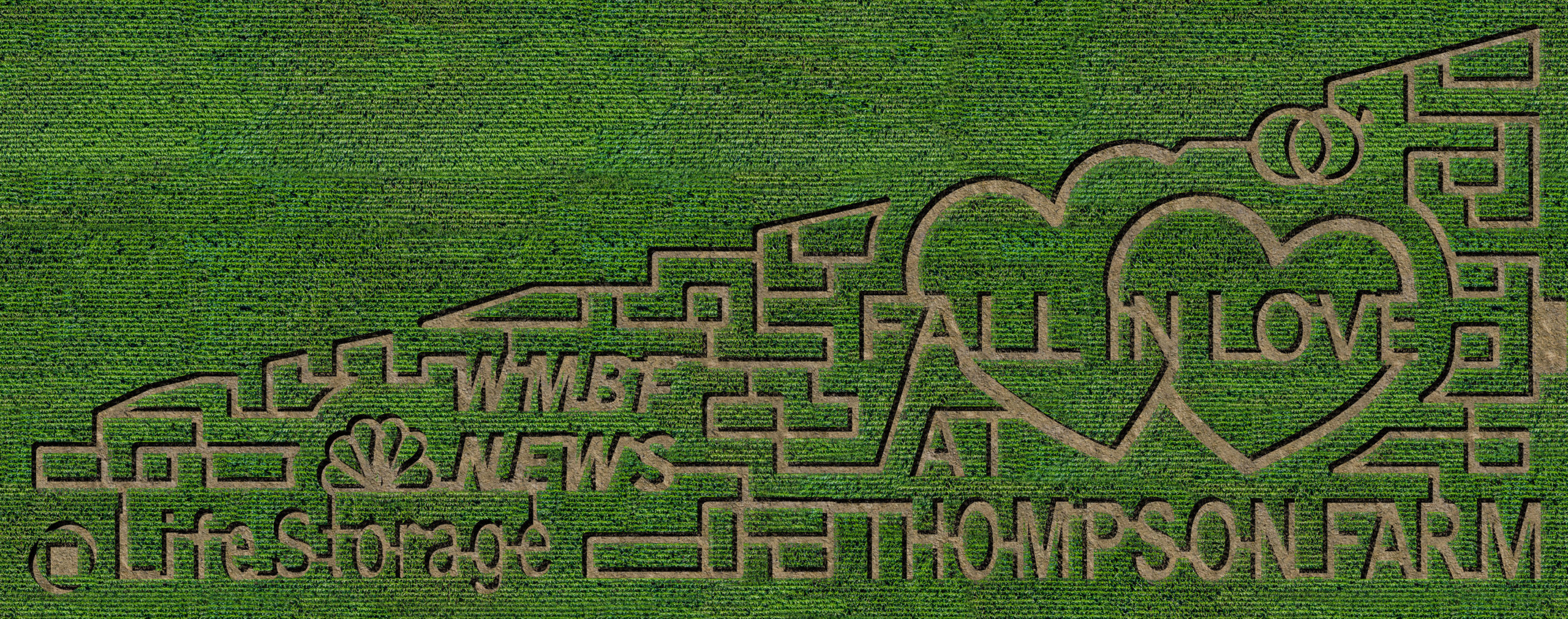 A corn maze with the words " fall in love " written on it.