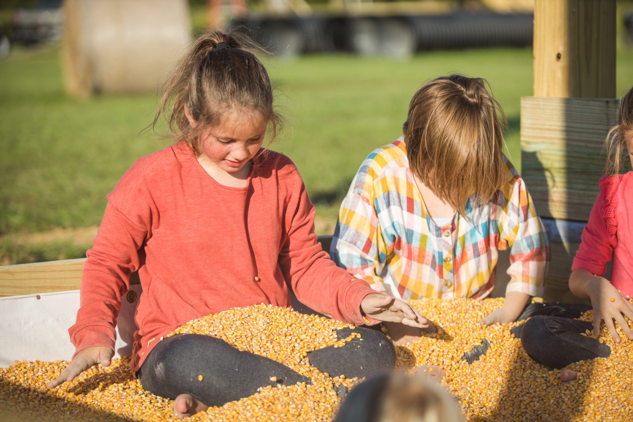 Thompson Farm (108 of 144) Thompson Farm at Brickyard Plantation