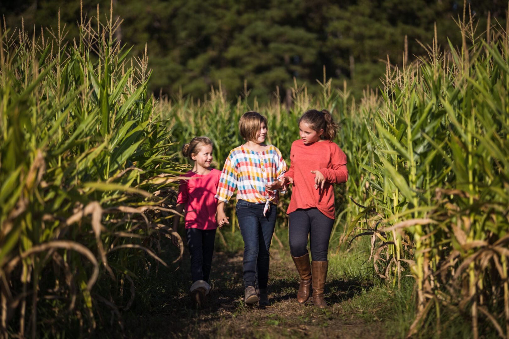 Thompson Farm (69 of 144) Thompson Farm & Nursery