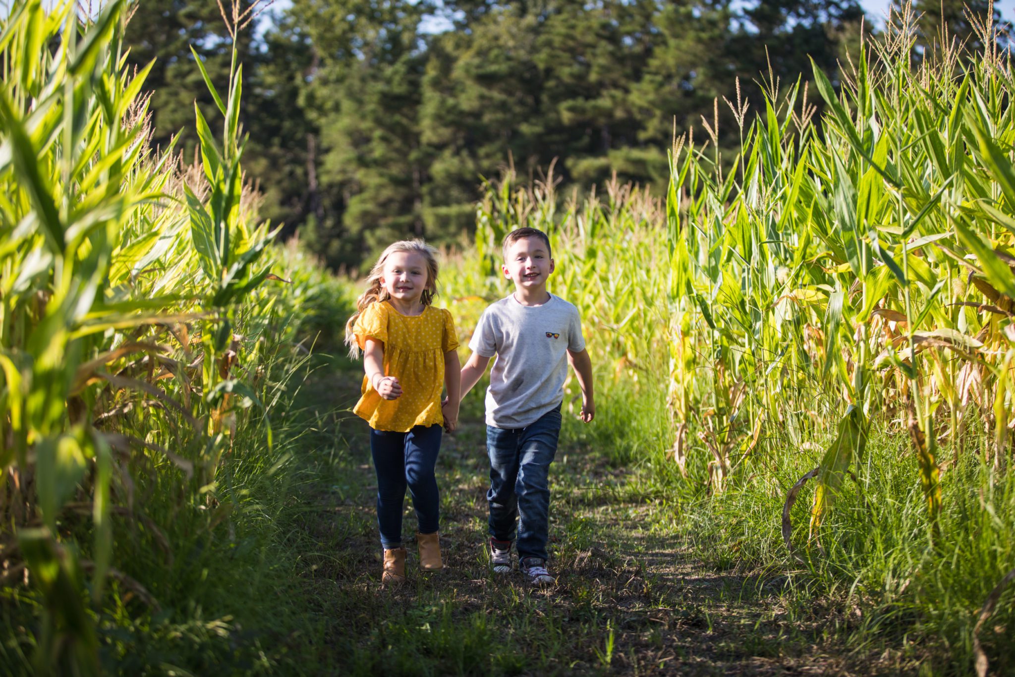 Thompson Farm (74 of 144) Thompson Farm at Brickyard Plantation