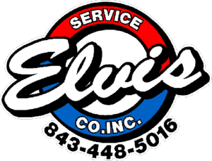 Elvis Service Logo