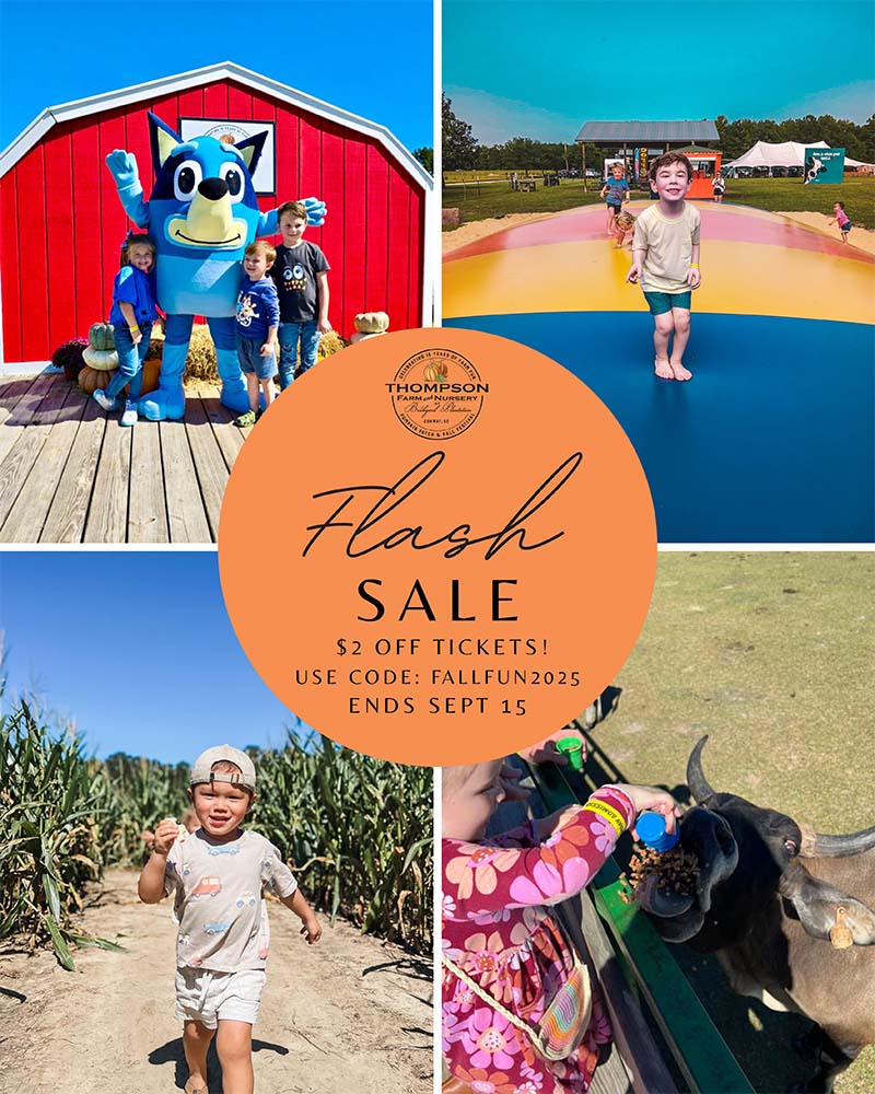 TF Flash Sale posts