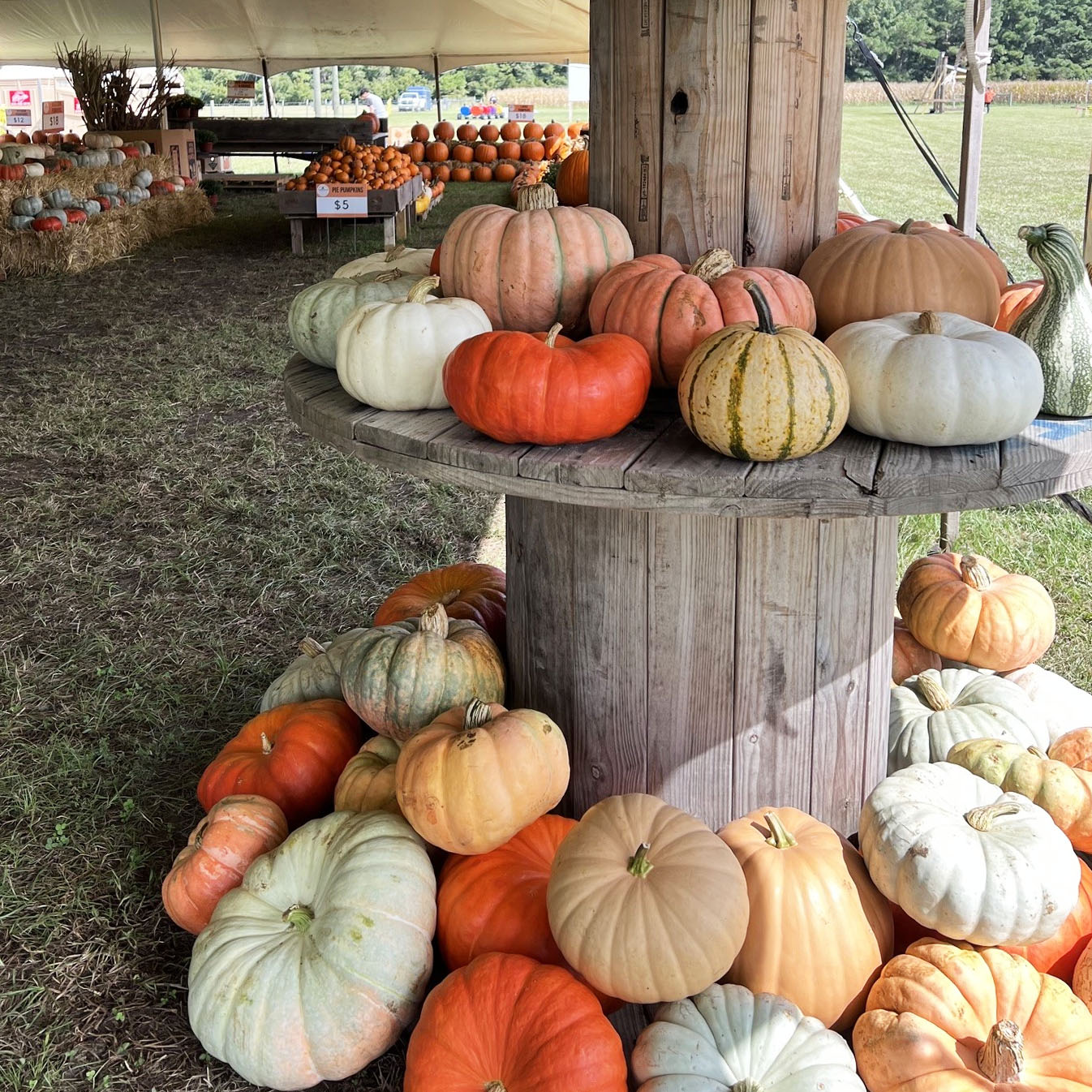 farm-store1